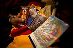 Beschreibung: MAY.26.2009-Der Dalai Lama in Dharamsala, Foto von Brent Foster
