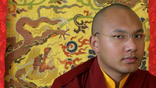 Beschreibung: Urgyen Trinley Dorje, der Karmapa Lama, in Dharamsala in Nordindien (2009)